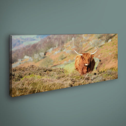 PANORAMIC - CURBAR HIGHLAND - 1.2m x 50cm